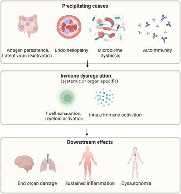 Long COVID: Clinical characteristics, proposed pathogenesis and potential therapeutic targets